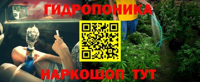крисы Мариинск